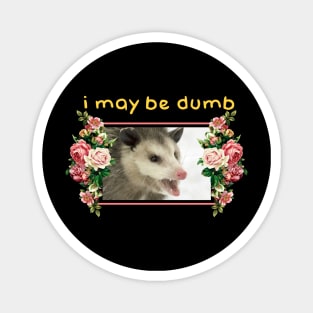 I may be dumb Opossum Magnet